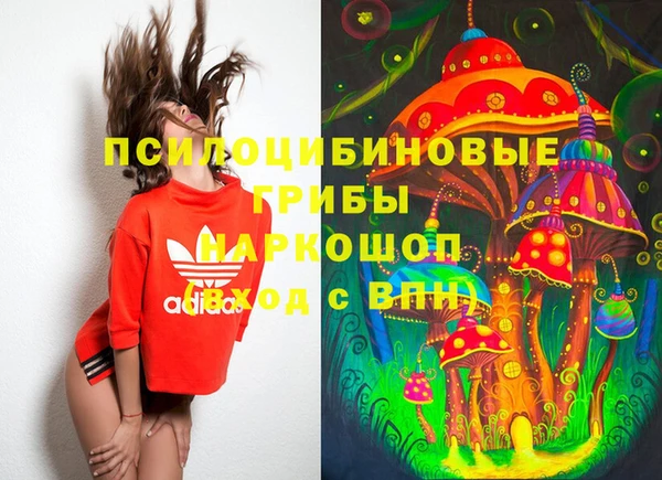 а пвп мука Новозыбков