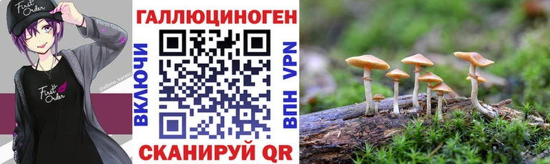 ссылка на мегу маркетплейс Новосибирск Галлюциногенные грибы мухоморы