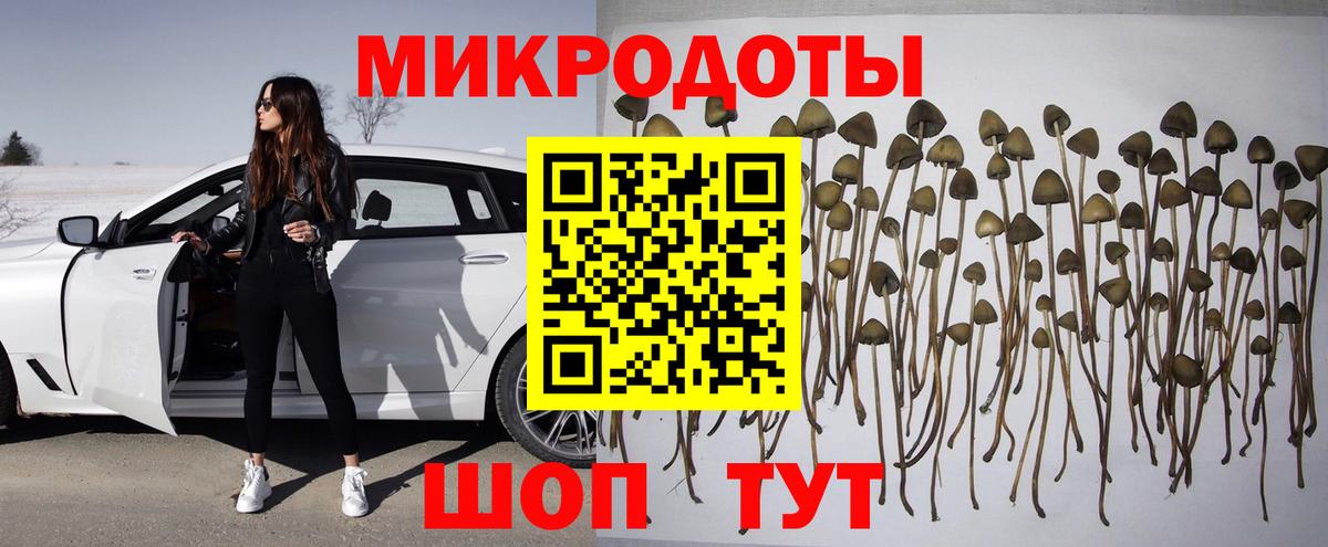 Псилоцибиновые грибы MAGIC MUSHROOMS  Вход с VPN  Новосибирск 